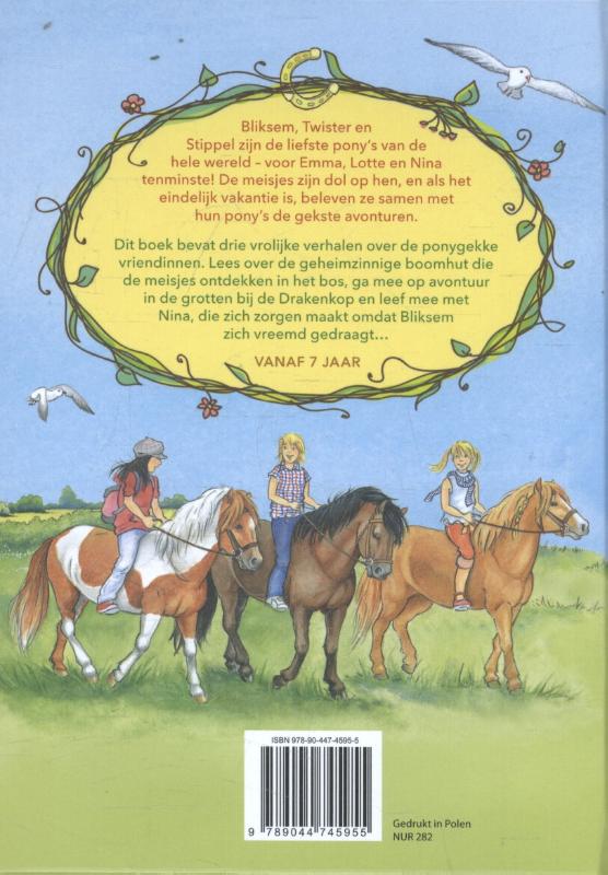 De vrolijke avonturen van de ponygirls achterkant