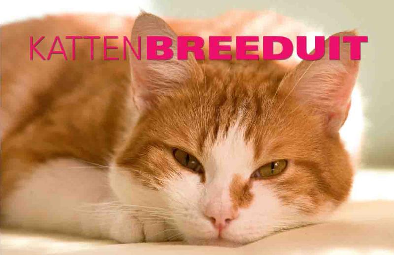 Katten Breeduit / Breeduit