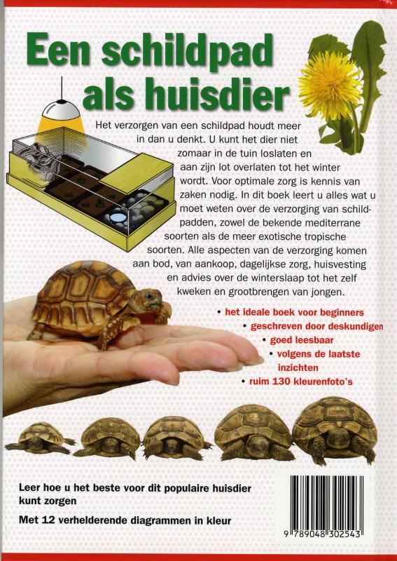 Een schildpad als huisdier achterkant