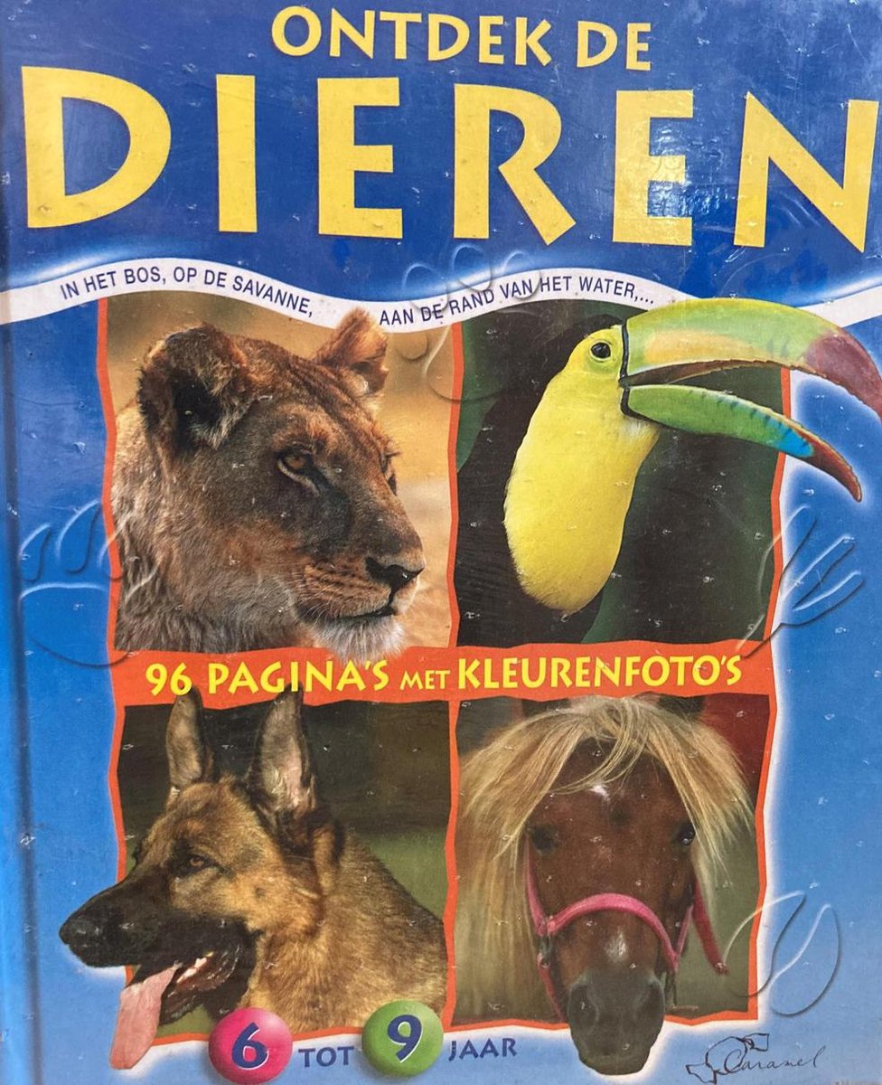 Ontdek de dieren