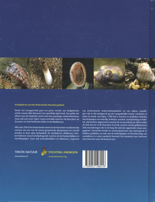 Schelpdieren van het Nederlandse Noordzeegebied achterkant