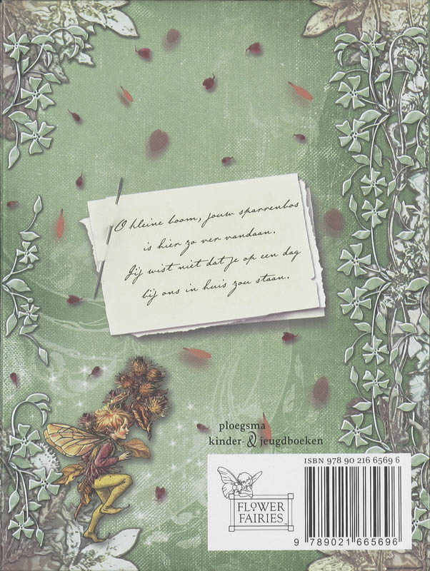 Bloemenelfjes In De Winter achterkant