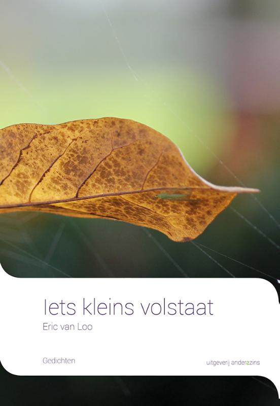 Iets kleins volstaat