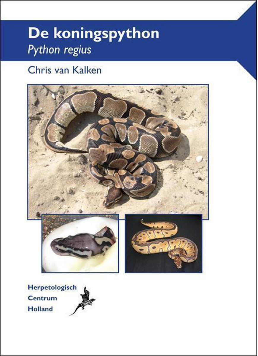 De koningspython (Python regius)