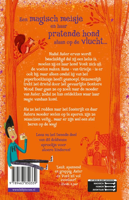 Feeën in het woud / Aster en Vonk / 2 achterkant