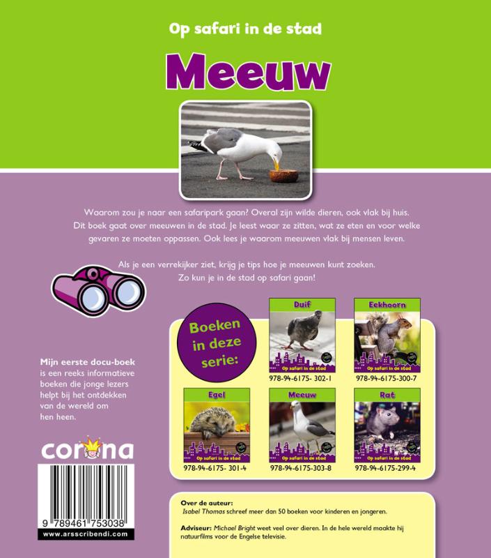 Meeuw / Op safari in de stad achterkant