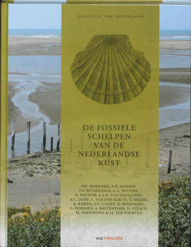 De fossiele schelpen van de Nederlandse kust