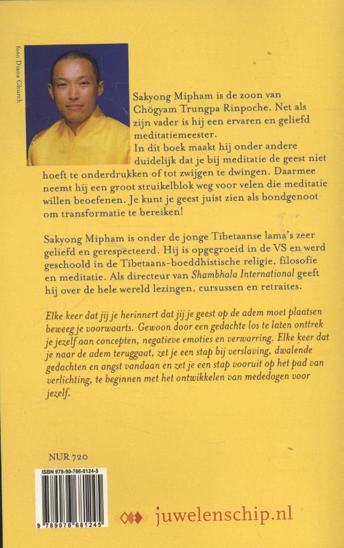 Je geest als bondgenoot achterkant