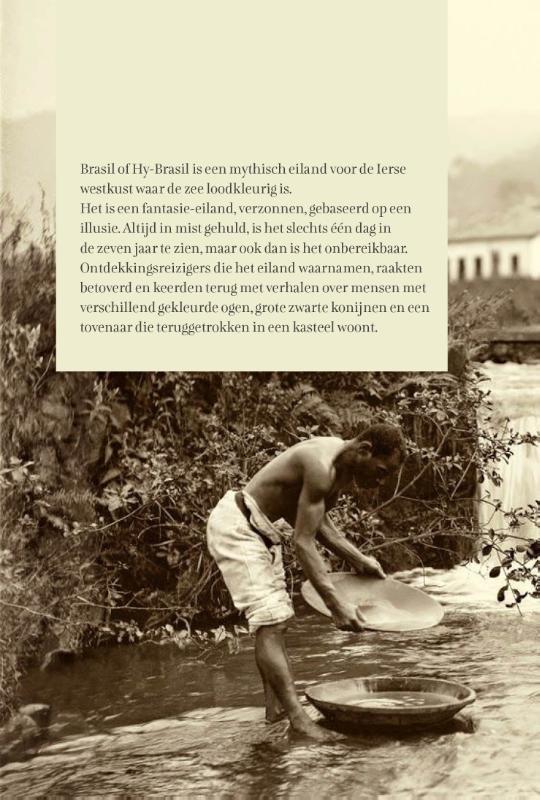 Lotgevallen achterkant