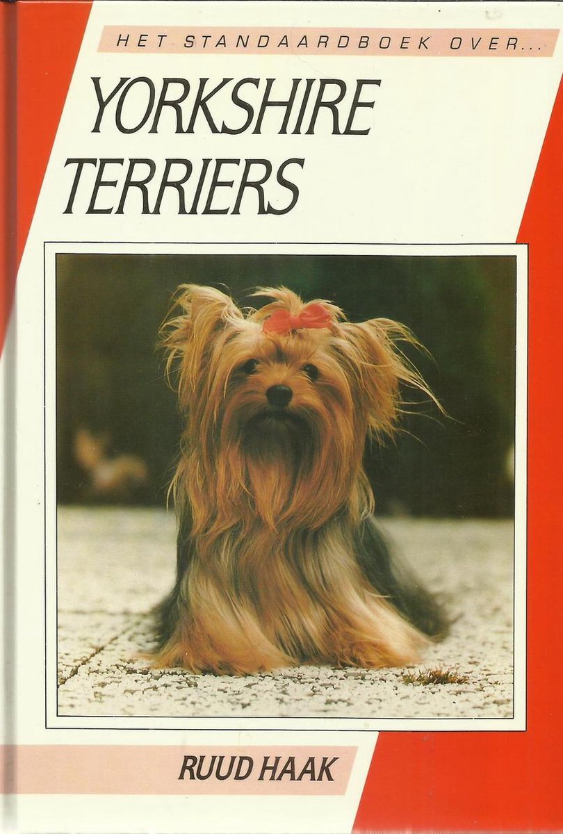 Yorkshire terriers