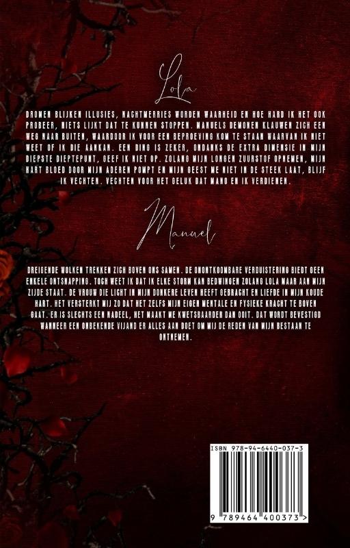 Schemeringen 3 -   Antwoorden in de schemering achterkant