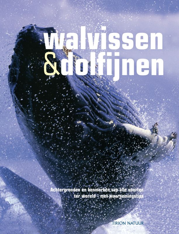 Walvissen En Dolfijnen