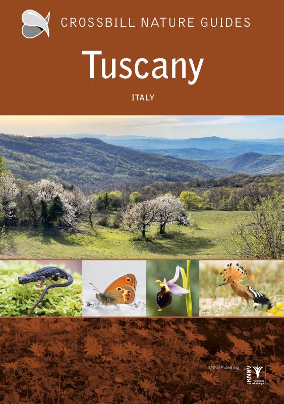 Crossbill Guide Tuscany / Crossbill guides / 42