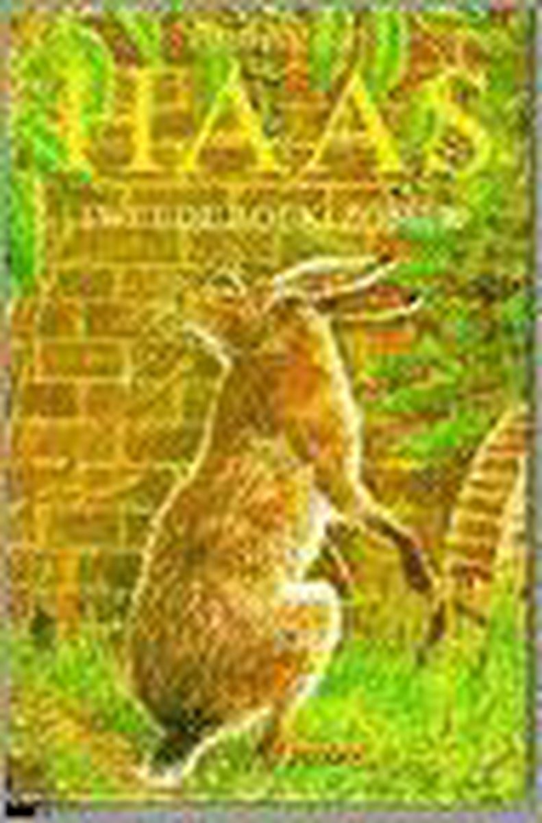 HAAS TWEEDE BOEK ZOMER