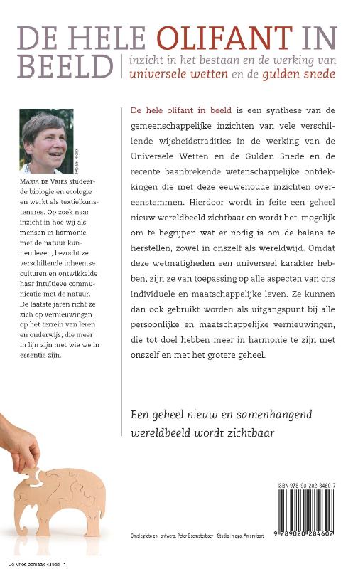 De hele olifant in beeld achterkant