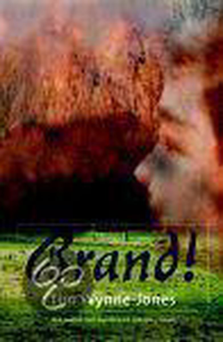 Brand! / Jenny de Jonge boek