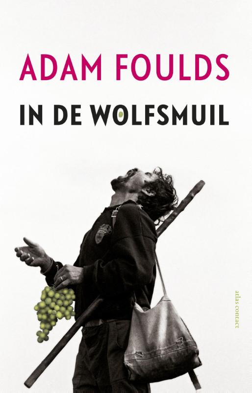In de wolfsmuil