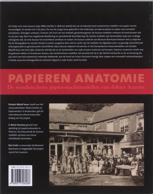Papieren anatomie achterkant