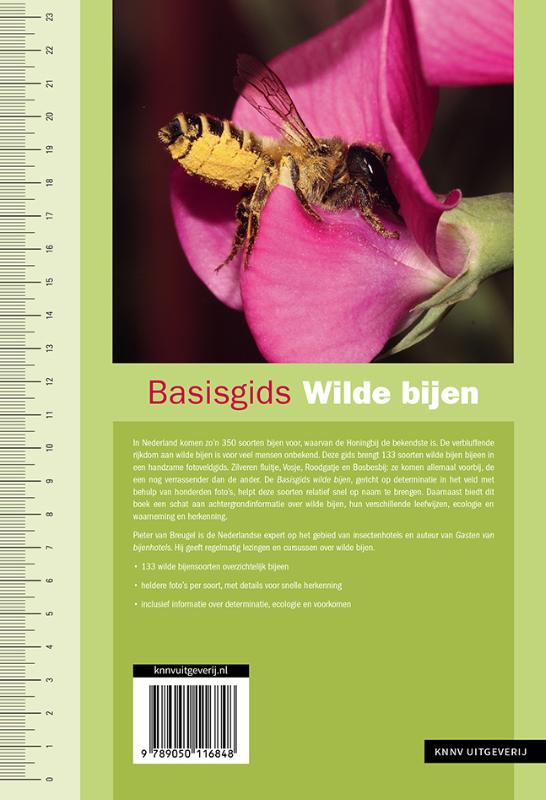 Basisgids wilde bijen / Basisgids achterkant