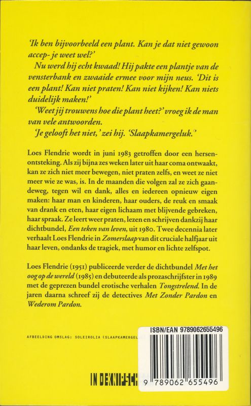 Zomerslaap achterkant