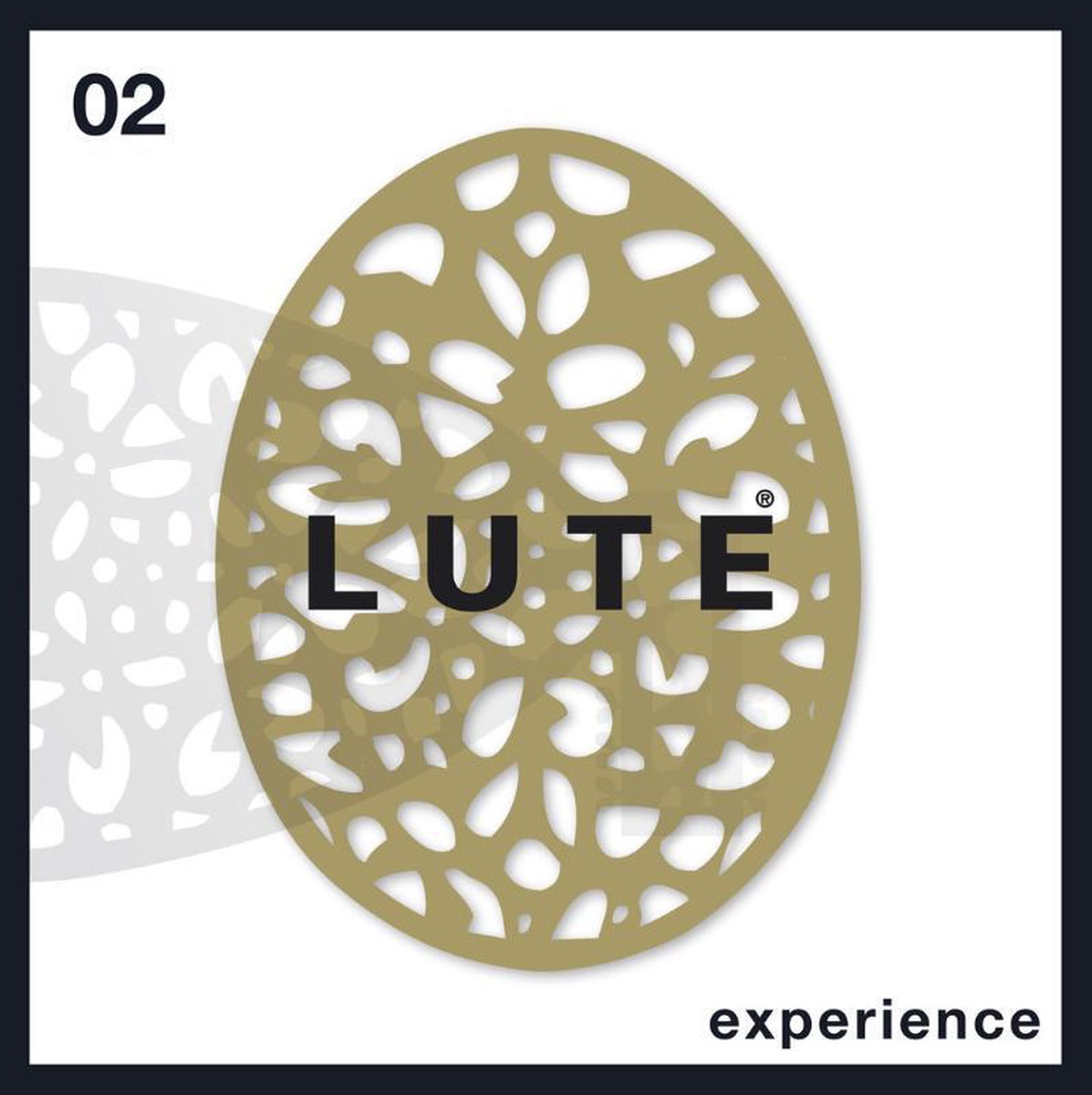 Experience / Lute Bookazine / 2