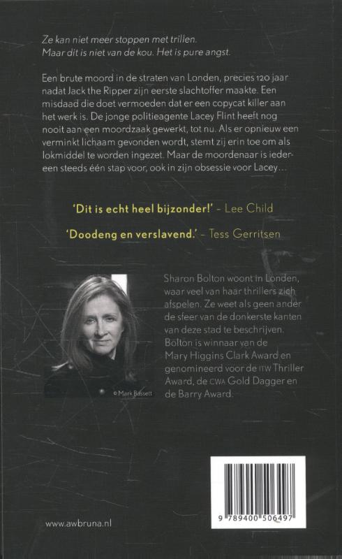 Zielsgeheim / Lacey Flint / 1 achterkant