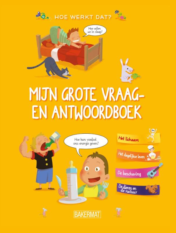 Hoe maak je dat? / Mijn grote vraag en antwoordboek