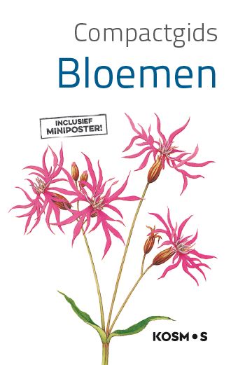 Bloemen / Compactgids