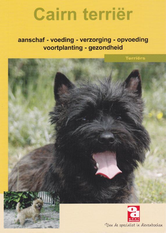 Cairn terrier / Over Dieren