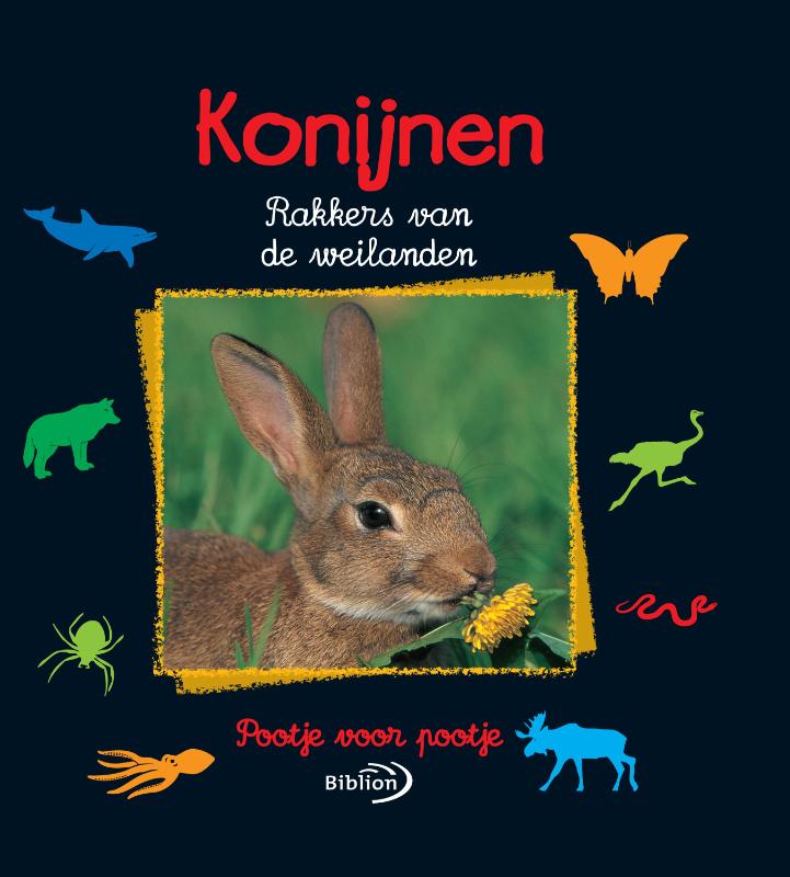 Konijnen