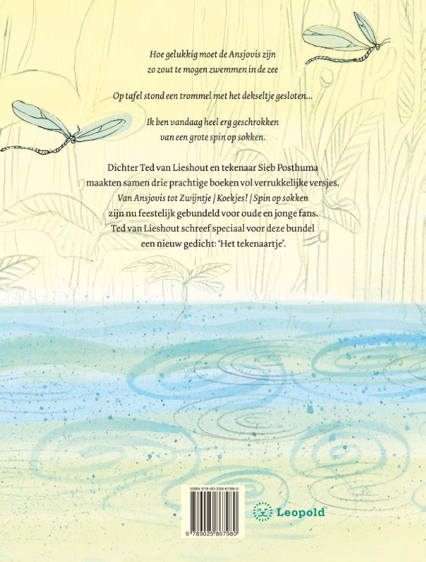 Het schrijvertje achterkant