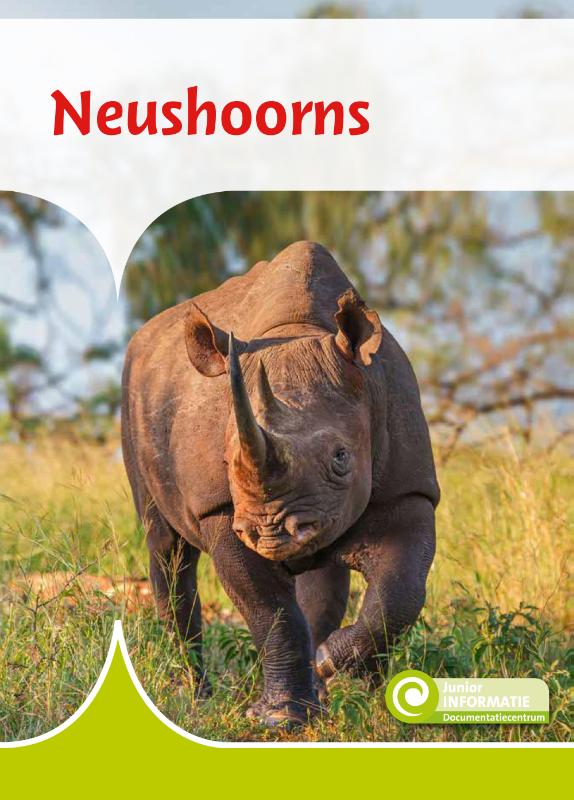 Neushoorns / Junior Informatie / 145
