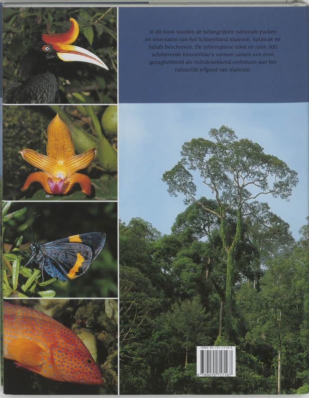 Beleef De Wildernissen Van Maleisie achterkant
