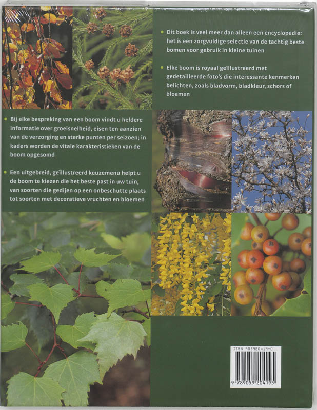 Bomen voor in de tuin achterkant