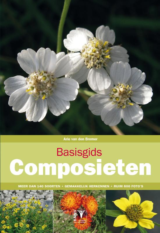 Basisgids Composieten