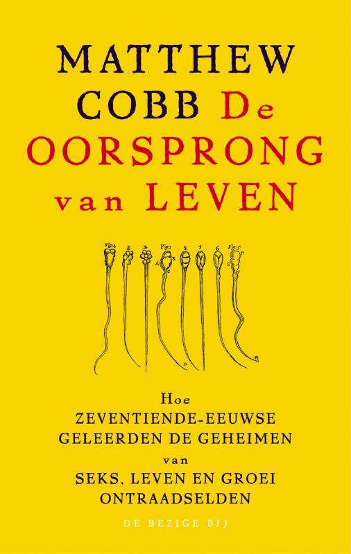 De Ei En Sperma Race